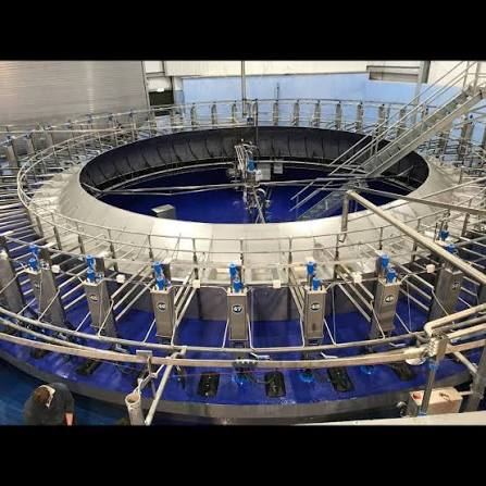 Rotary milking parlour during installation