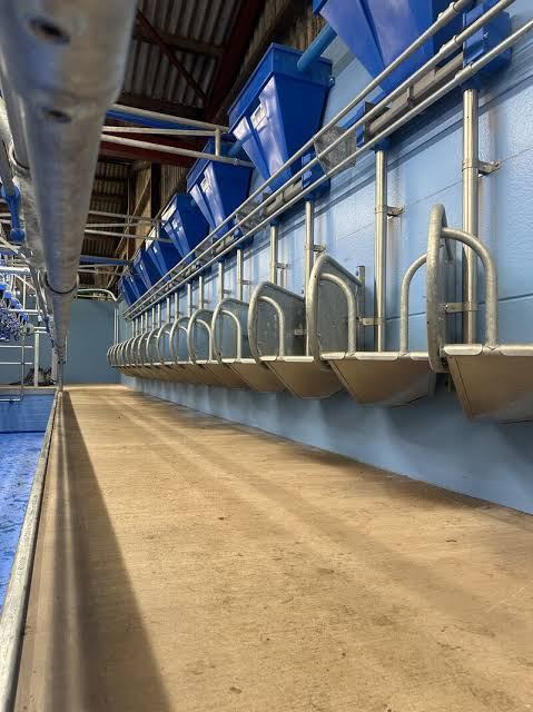 New feed hoppers and stalling in a parlour fit-out