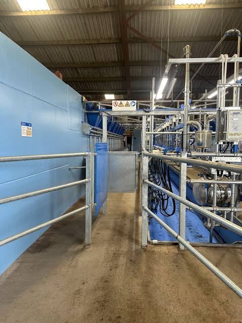 Parlour walkway and stalling during fit-out