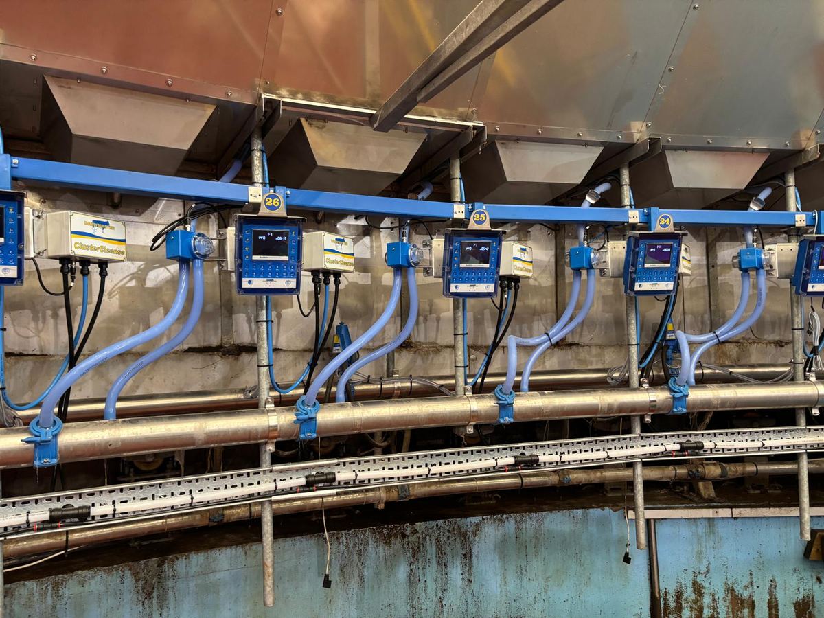 New Dairymaster ClusterCleanse units and control boxes on a rotary parlour